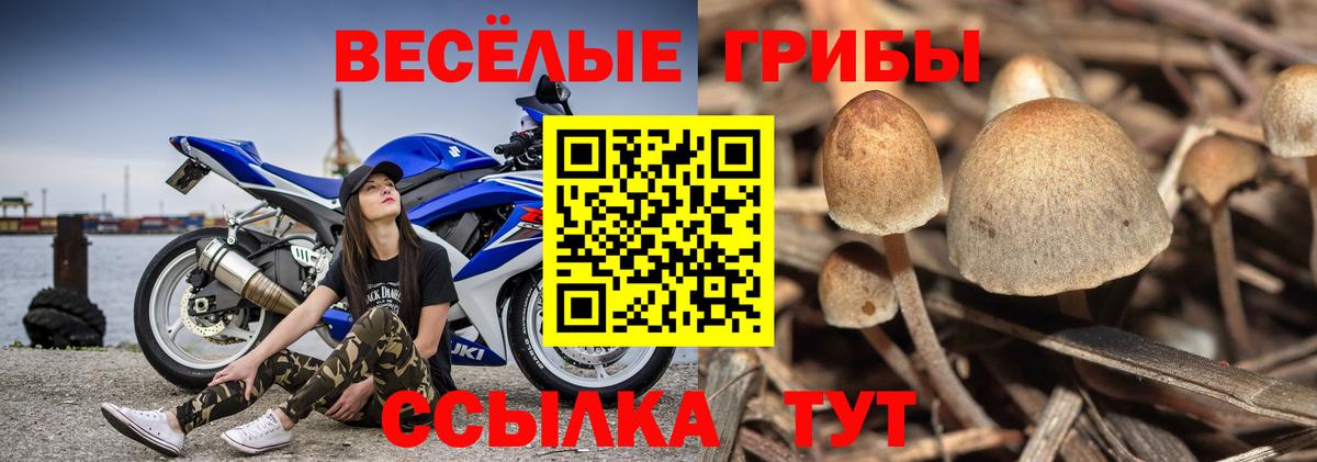 Галлюциногенные грибы мицелий  Вход с VPN  Якутск 
